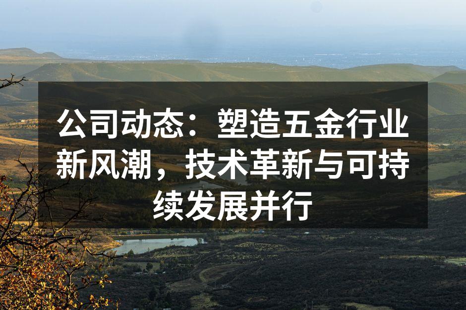 公司最新研发的智能化五金加工设备